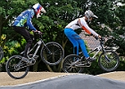 921H6511 bmx-tc-11-9-21